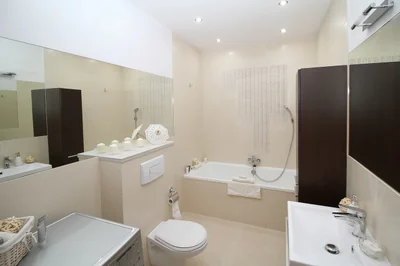 Vers noir toilette : comment s'en débarrasser efficacement en 2026 ?