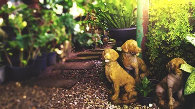 Déco jardin vintage : 15 idées tendance pour un extérieur rétro en 2026