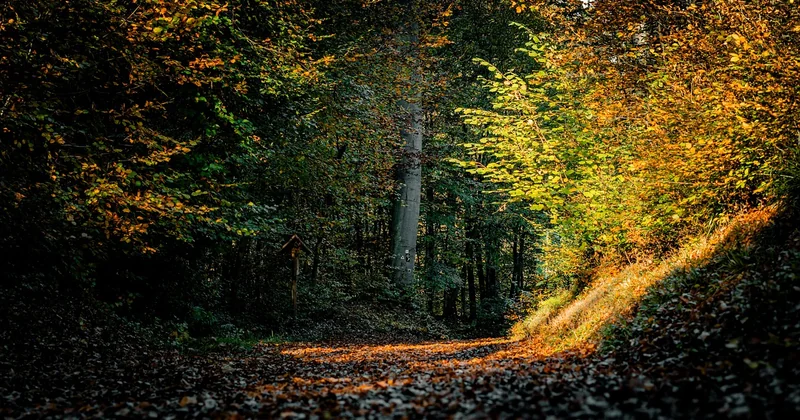 Couleurs et lumières : les secrets pour agrandir visuellement