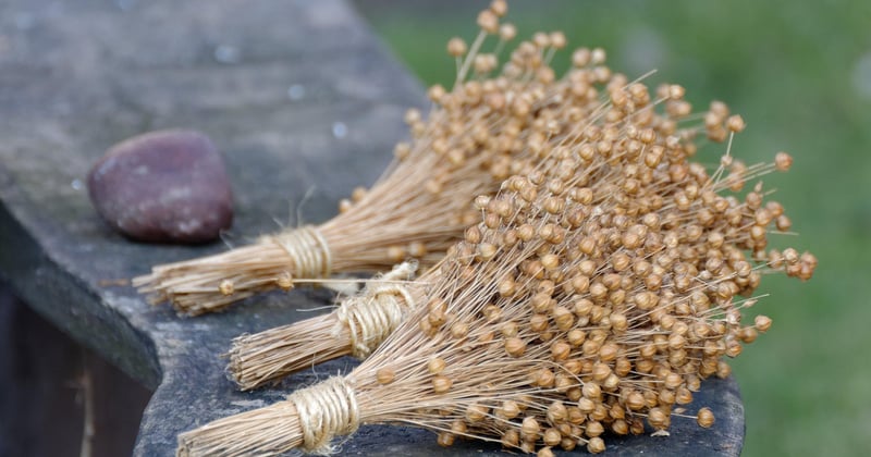 Bouillotte graine de lin sans micro-onde : les 7 meilleures alternatives pour se chauffer